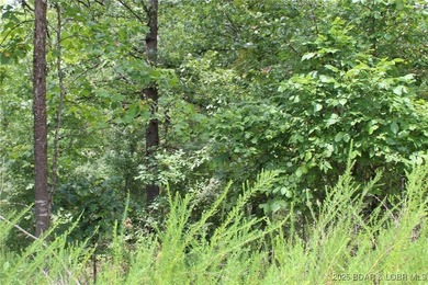 Build Your Dream Home in Woodhaven Estates! Don't miss this - photo 6