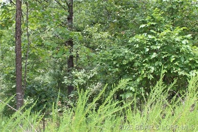 Build Your Dream Home in Woodhaven Estates! Don't miss this - photo 6