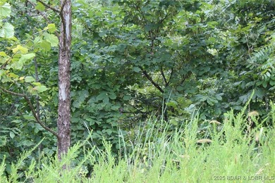 Build Your Dream Home in Woodhaven Estates! Don't miss this - photo 7