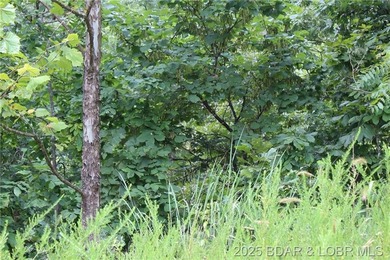 Build Your Dream Home in Woodhaven Estates! Don't miss this - photo 7
