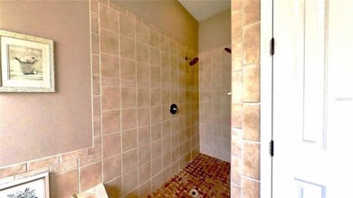 Single-story pool home in the gated Villas of Westridge at - photo 22