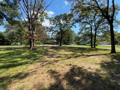 Lake Lot For Sale in Mabank, Texas