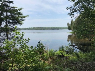 Spring Lake - Vilas County Lot For Sale in Land O Lakes Wisconsin