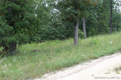 This spacious lot in the desirable Woodhaven Estates subdivision - photo 2