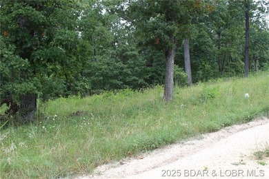 This spacious lot in the desirable Woodhaven Estates subdivision - photo 2
