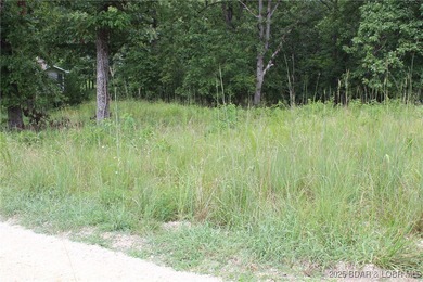 This spacious lot in the desirable Woodhaven Estates subdivision - photo 3