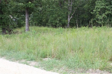 This spacious lot in the desirable Woodhaven Estates subdivision - photo 3