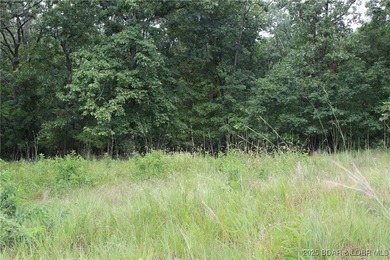 This spacious lot in the desirable Woodhaven Estates subdivision - photo 4
