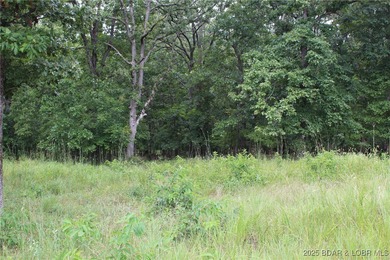 This spacious lot in the desirable Woodhaven Estates subdivision - photo 5