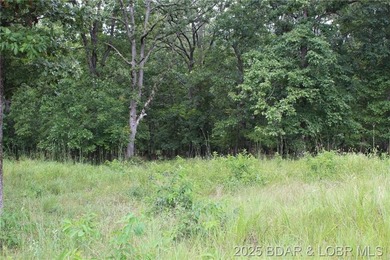 This spacious lot in the desirable Woodhaven Estates subdivision - photo 5