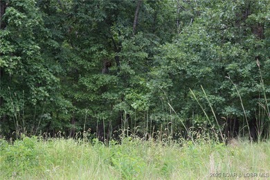 This spacious lot in the desirable Woodhaven Estates subdivision - photo 7