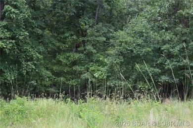 This spacious lot in the desirable Woodhaven Estates subdivision - photo 7