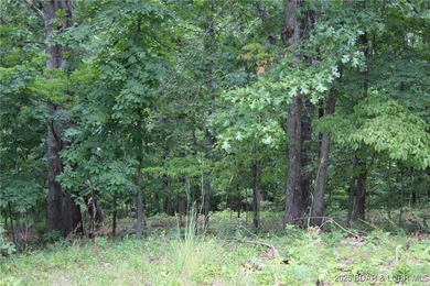 This spacious lot in the desirable Woodhaven Estates subdivision - photo 8