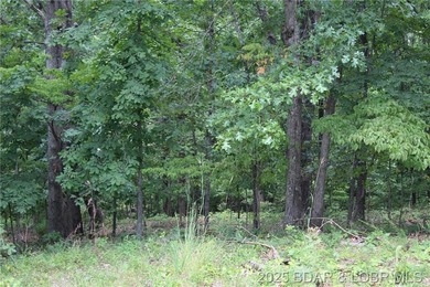 This spacious lot in the desirable Woodhaven Estates subdivision - photo 8