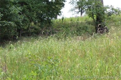 This spacious lot in the desirable Woodhaven Estates subdivision - photo 9