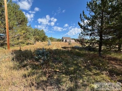 (private lake, pond, creek) Lot For Sale in Island Park Idaho