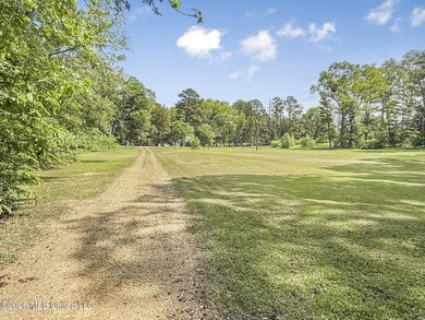 25 acres of rolling hills land available for sale near Terry, MS - photo 27