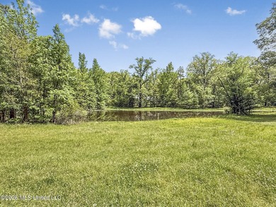 25 acres of rolling hills land available for sale near Terry, MS - photo 29