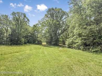25 acres of rolling hills land available for sale near Terry, MS - photo 50