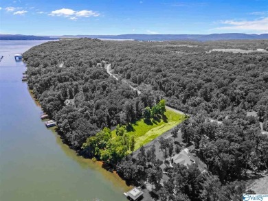 Lake Guntersville Lot For Sale in Scottsboro Alabama