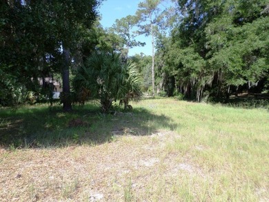 Rainbow River Lot For Sale in Dunnellon Florida
