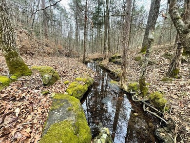 Hunting paradise with county road frontage! This incredible - photo 1