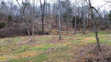 Hunting paradise with county road frontage! This incredible - photo 2