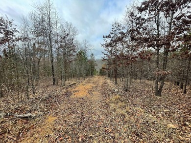 Hunting paradise with county road frontage! This incredible - photo 3