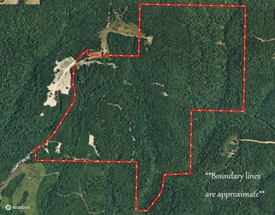 Hunting paradise with county road frontage! This incredible - photo 5