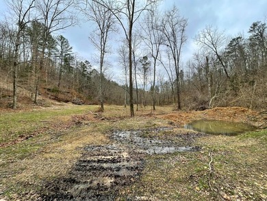 Hunting paradise with county road frontage! This incredible - photo 6