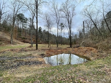 Hunting paradise with county road frontage! This incredible - photo 7