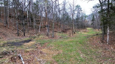 Hunting paradise with county road frontage! This incredible - photo 8