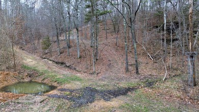 Hunting paradise with county road frontage! This incredible - photo 9