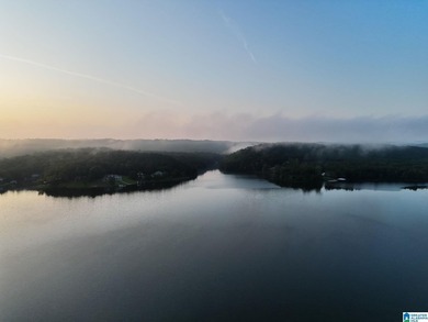 One of the largest waterfront lots on Lake Mitchell has - photo 11