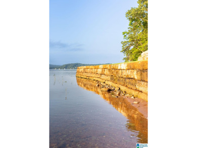 One of the largest waterfront lots on Lake Mitchell has - photo 15