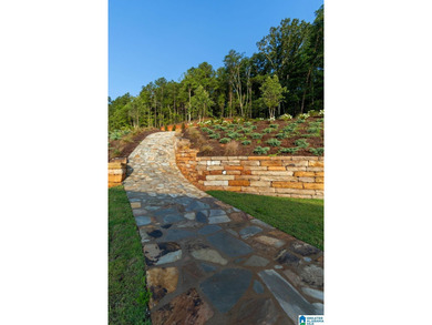One of the largest waterfront lots on Lake Mitchell has - photo 17