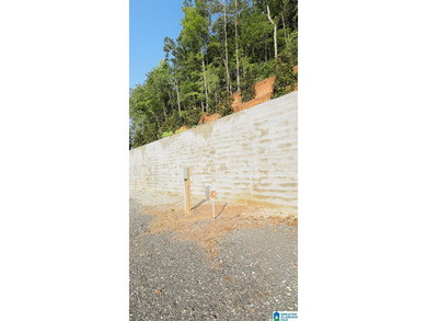 One of the largest waterfront lots on Lake Mitchell has - photo 19