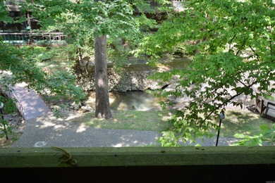 Lakefront condo on tumbling creek is ideal for Full-time living - photo 19