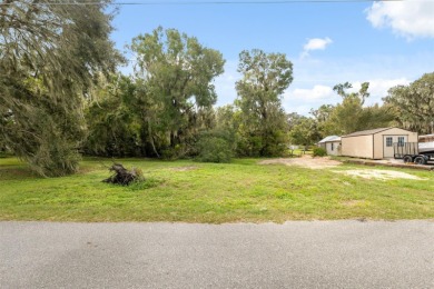 Lake Lot For Sale in Lake Panasoffkee, Florida