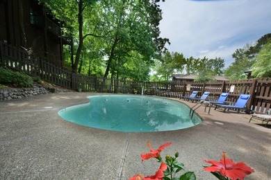 Lakefront condo on tumbling creek is ideal for Full-time living - photo 22