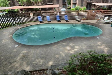 Lakefront condo on tumbling creek is ideal for Full-time living - photo 23