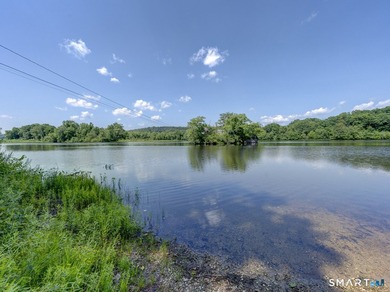 Charming 2-bedroom ranch-style home on a lovely lake offers a - photo 35