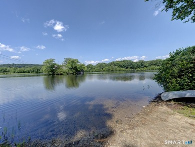 Charming 2-bedroom ranch-style home on a lovely lake offers a - photo 36