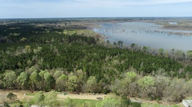 Millwood Lake Acreage For Sale in Ashdown Arkansas