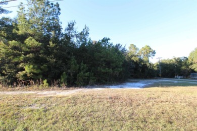 Lake Acreage For Sale in Tallahassee, Florida