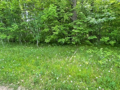 Discover the potential of this 5 + acre property on Pomroy Lake - photo 11