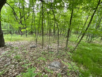 Discover the potential of this 5 + acre property on Pomroy Lake - photo 13
