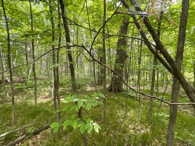 Discover the potential of this 5 + acre property on Pomroy Lake - photo 15