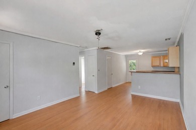 The renovation is underway.767 Bermuda Street in Charleston, SC - photo 20