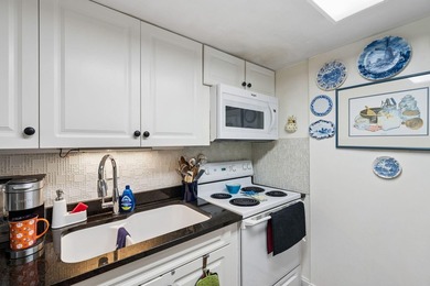 Experience an extraordinary opportunity to own one of downtown - photo 20